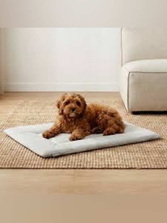 Kindtail Other - KindTail PAWD Dog Crate Pad Soft Reversible Sleeping 20” x 15.5” x 1” Soft Gray